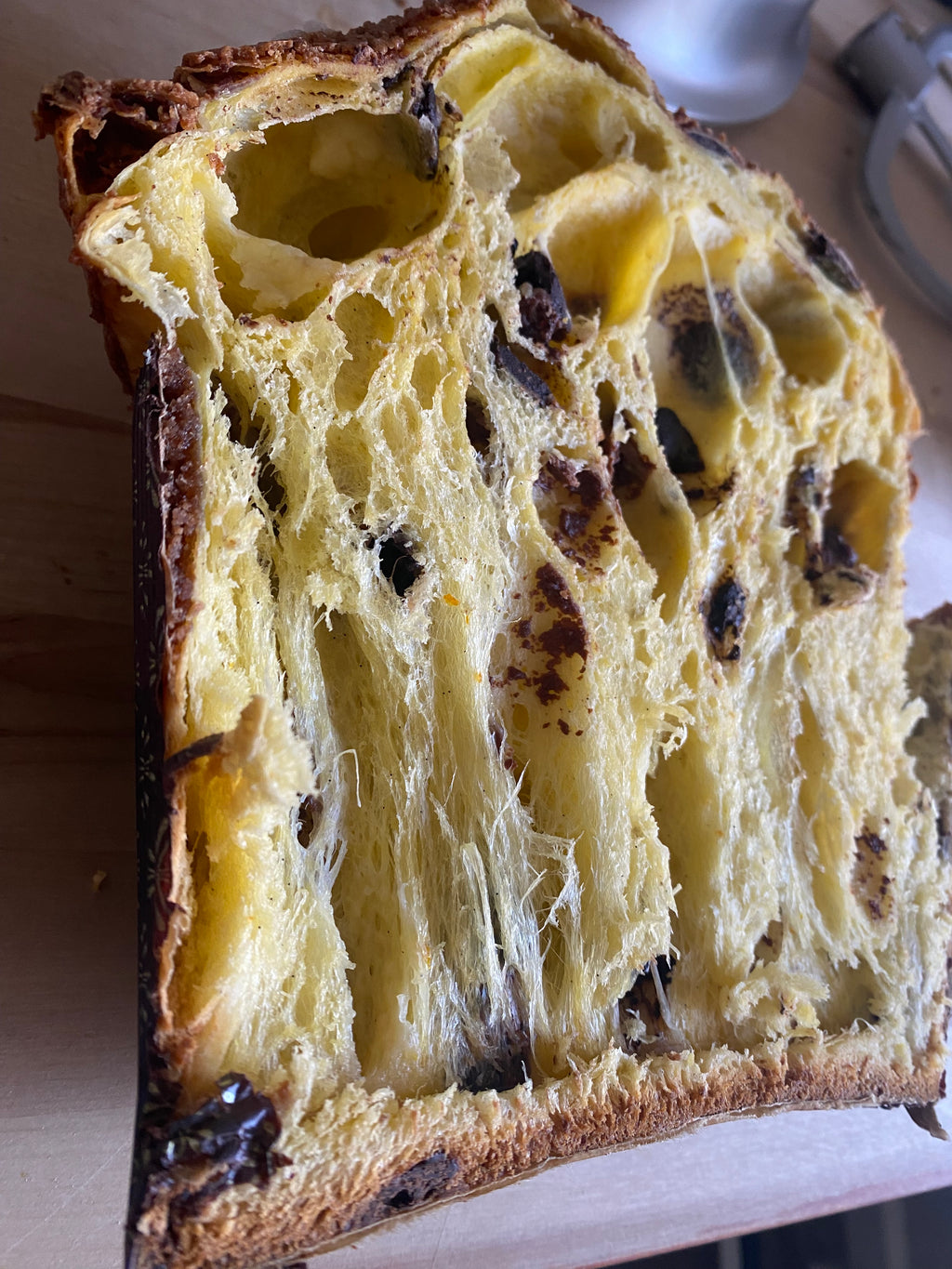 Chocolate Panettone