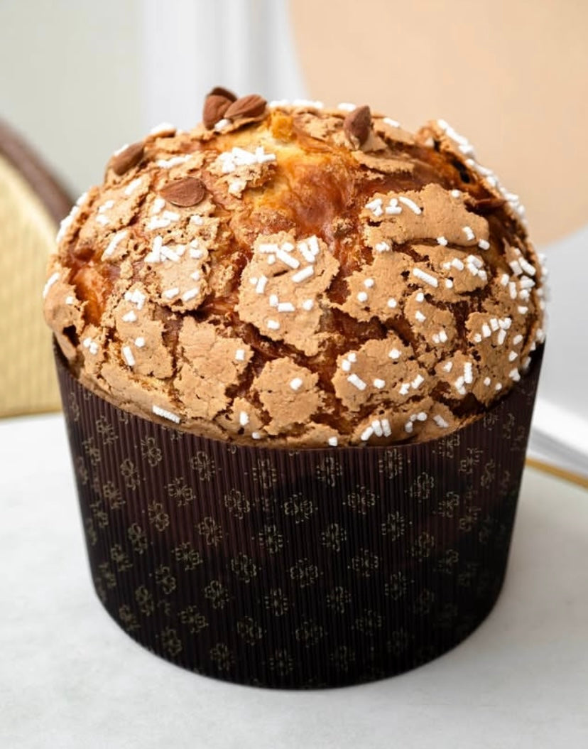 Classic Panettone