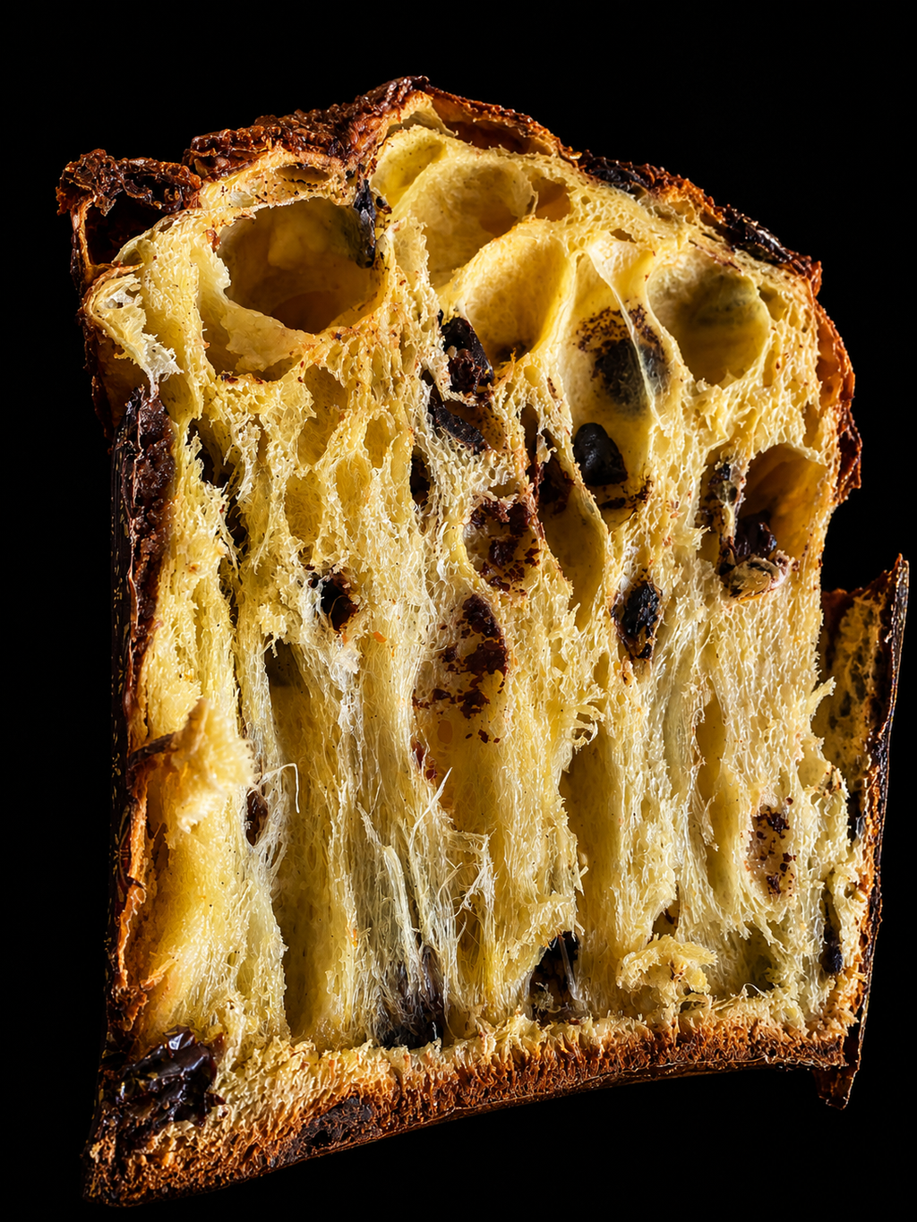 Chocolate Panettone