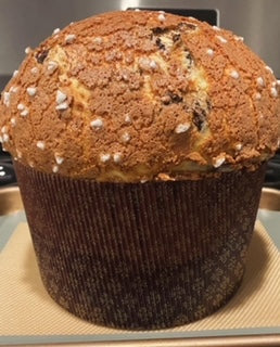 Chocolate Panettone