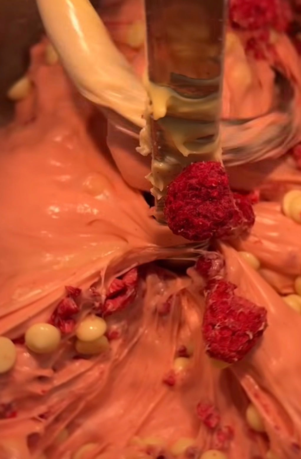 Raspberry White Chocolate Panettone